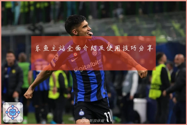 乐鱼主站全面介绍及使用技巧分享