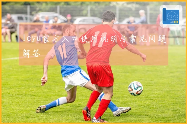 leyu官方入口使用说明与常见问题解答