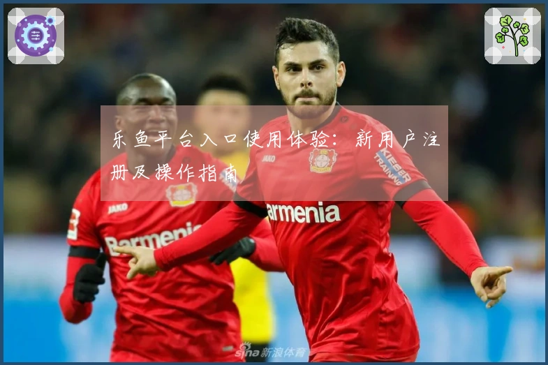 乐鱼平台入口使用体验：新用户注册及操作指南