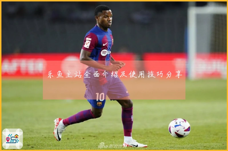 乐鱼主站全面介绍及使用技巧分享