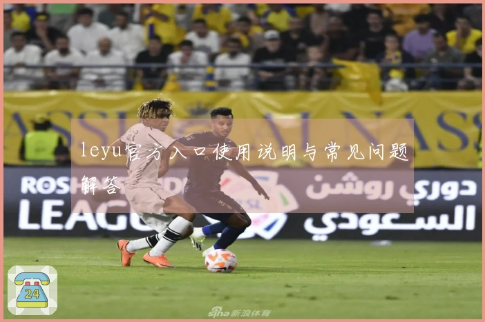 leyu官方入口使用说明与常见问题解答