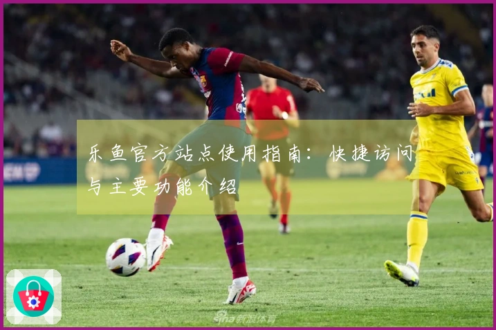 乐鱼官方站点使用指南:快捷访问与主要功能介绍