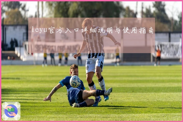 leyu官方入口详细说明与使用指南