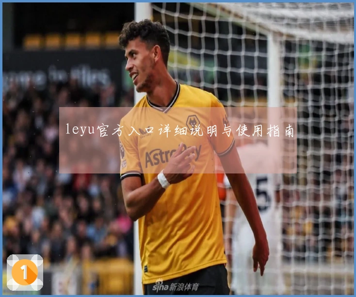 leyu官方入口详细说明与使用指南