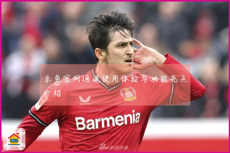 乐鱼官网通道使用体验与功能亮点介绍