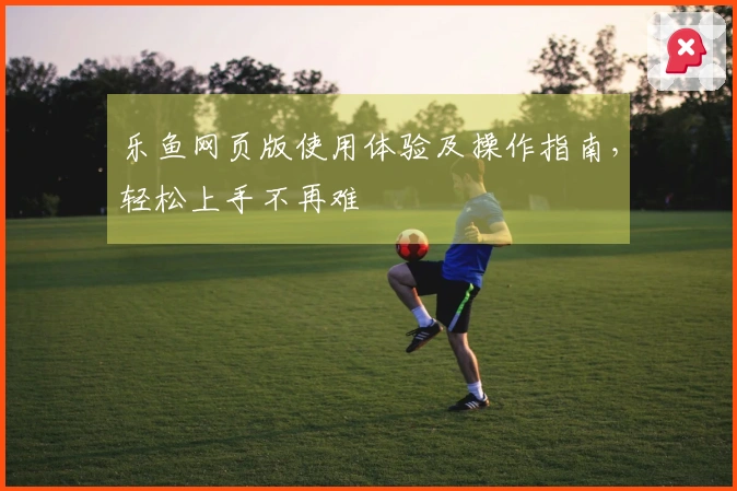乐鱼网页版使用体验及操作指南，轻松上手不再难